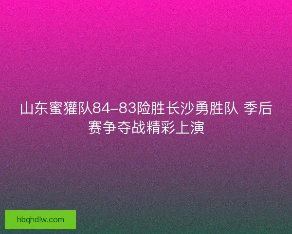 山东蜜獾队84-83险胜长沙勇胜队 季后赛争夺战精彩上演